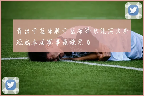青出于蓝而胜于蓝布泽尔凭实力夺冠成本届赛事最强黑马