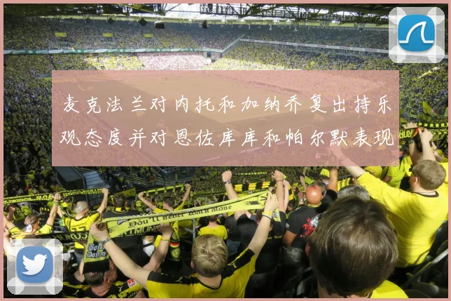 麦克法兰对内托和加纳乔复出持乐观态度并对恩佐库库和帕尔默表现表示满意